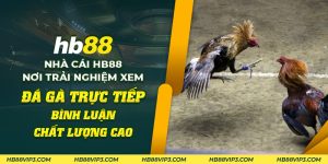 69 Nha cai HB88 Noi trai nghiem xem da ga truc tiep binh luan chat luong cao